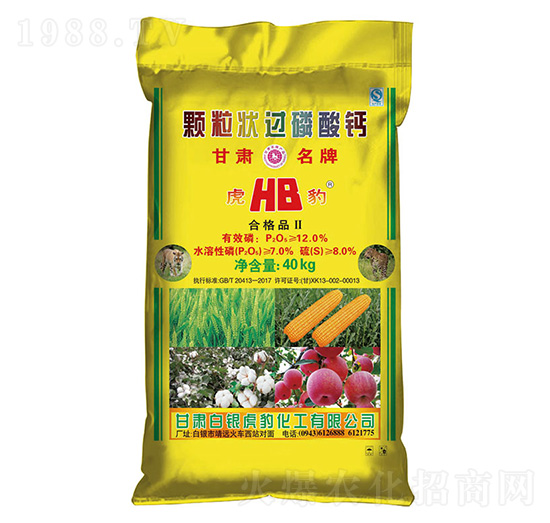 �w�����^(gu��)�����}-���y����