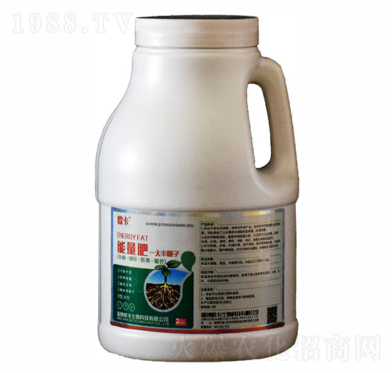 ����ˎ�Ƅ�-���S����������-�W������