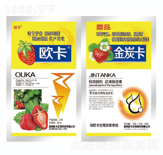 ��̿��-�W������