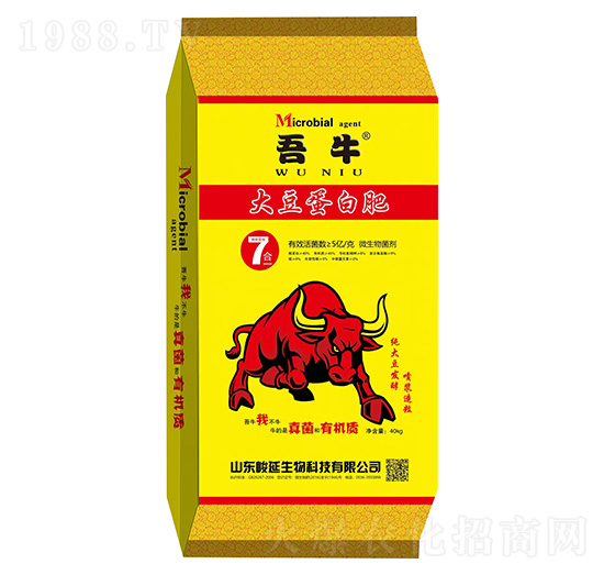 �󶹵��׷�-��ţ-����