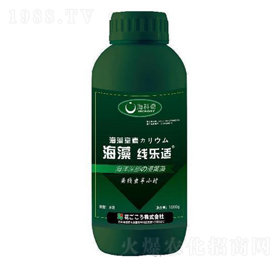 ���往��(l��)�m-������