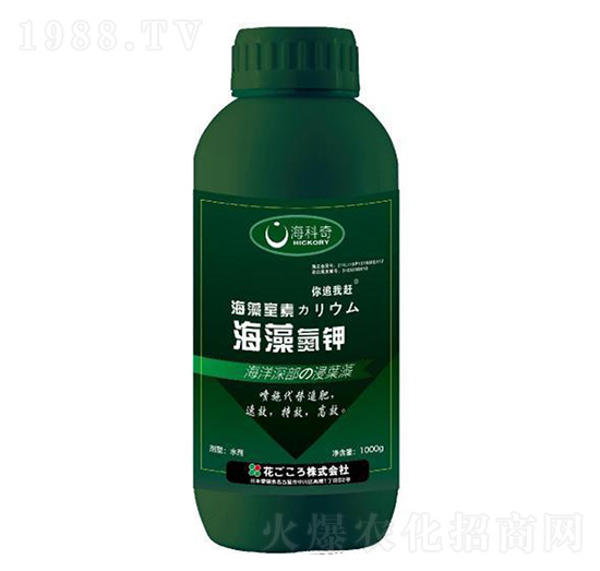 ���嵪�-������