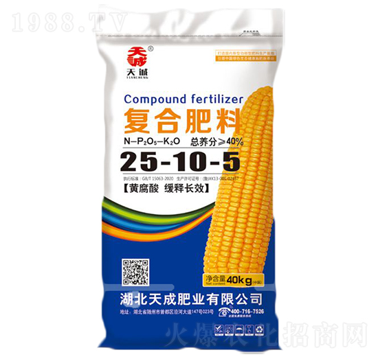 ���׌��ÏͺϷ���25-10-5-���-��˹��