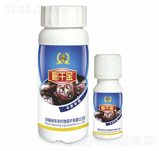 �R�㌣���~���-��ǧ��-�������r(n��ng)