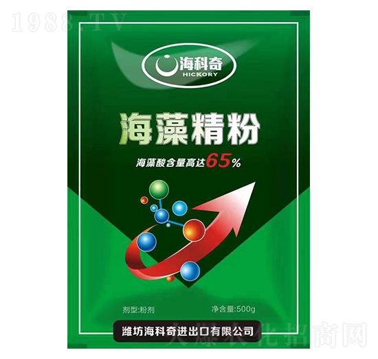 ���徫��-������