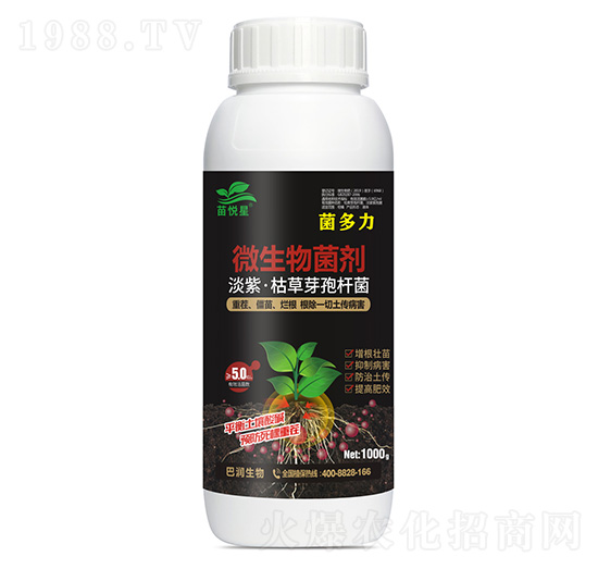 ������΢�������-�琂��-�͝�����