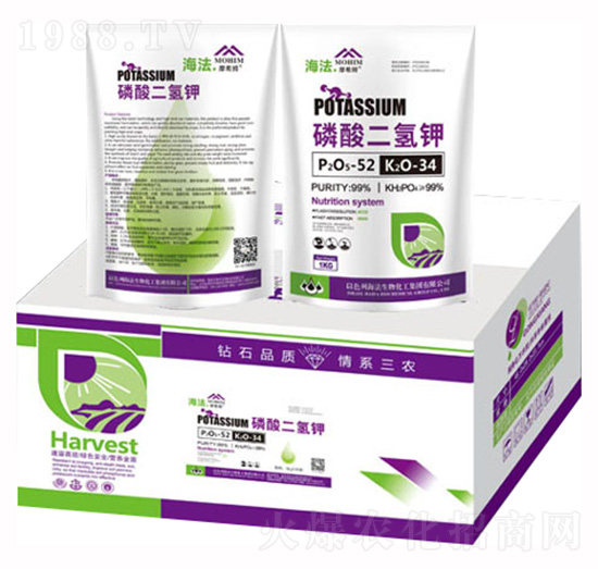 ���W����������-�����S