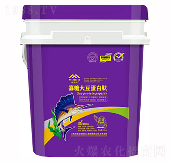 ���Ǵ󶹵�����-΢�������-�����S