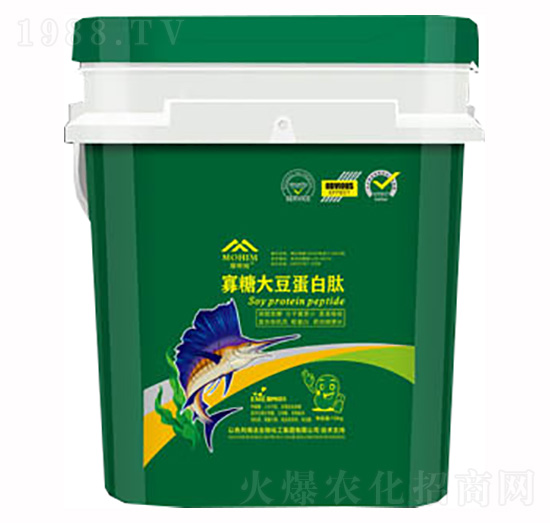 ���Ǵ󶹵�����-�����S