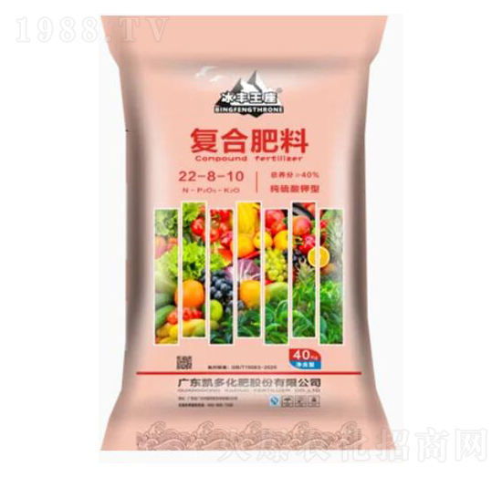 ��������͏ͺϷ���22-8-10-���S����-�P�໯��