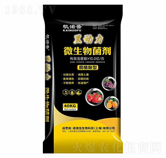 ��ֲ���ͺڄ���΢�������-�P�Z��-�Z�V��