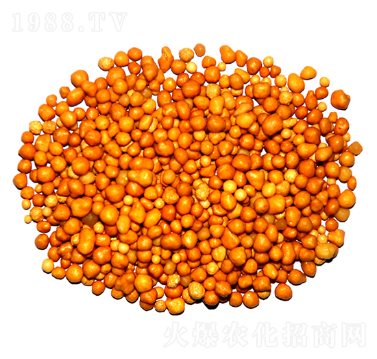 ����n�w����ጷ�15-7-13-ïʩ����