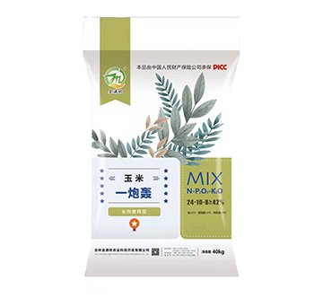 �L(zh��ng)Ч���������һ���Z24-10-8-��M��-�����l(xi��ng)