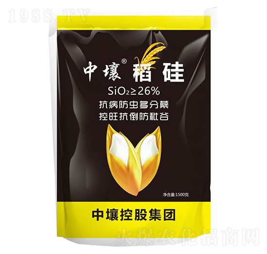 ����-����