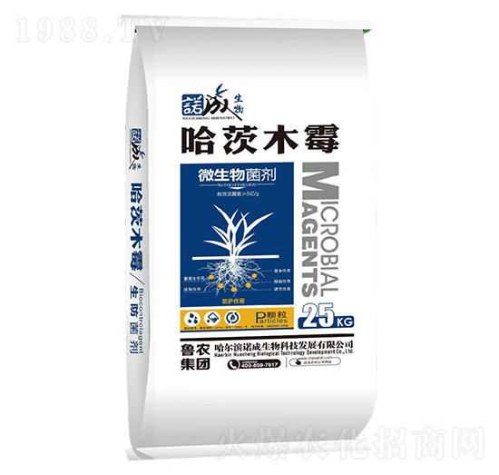 ����ľù΢�������-���r(n��ng)���F