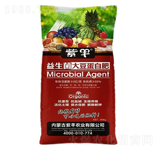 �������󶹵��׷�-���r(n��ng)