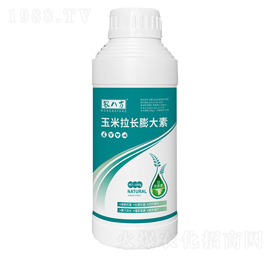 �������L�����-�r(n��ng)�˷�