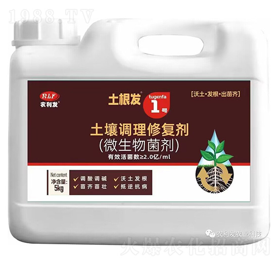 �����{���ޏ̈́�(΢�������)-�����l(f��)1̖-�r���l(f��)