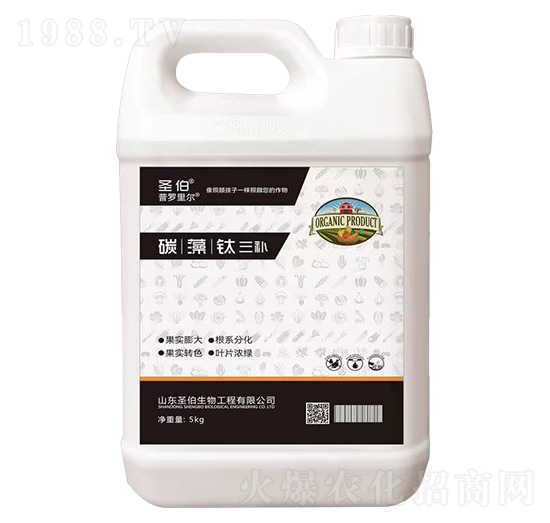 5kg̼�����Ԫ���a(b��)-���_�-ʥ������