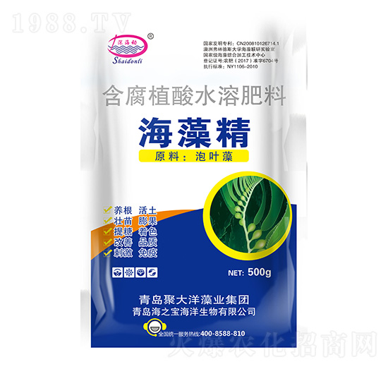 ���徫-���-��֮��