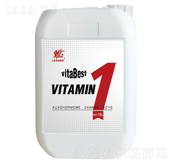 ����ԴС��Һ-����-�����_