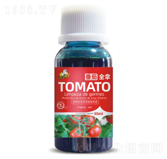 ����ȫ��-��˹��