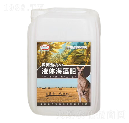 Һ�w�����-���-��֮��