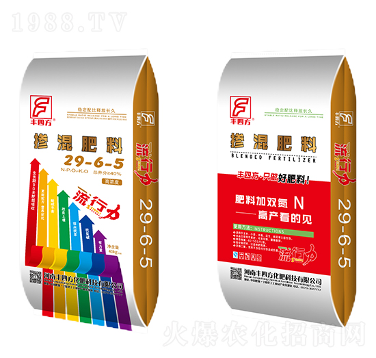 �������29-6-5-�S�ķ�