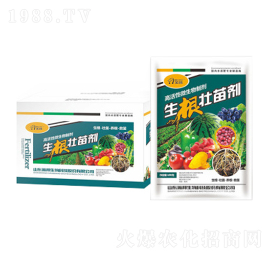 �������焩-嫰�����