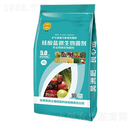 �����}΢�������-��������ޏ�(f��)