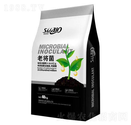 ΢�������-�ό���-˹����