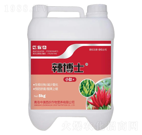 ����ʿ5KG-�а����r(n��ng)