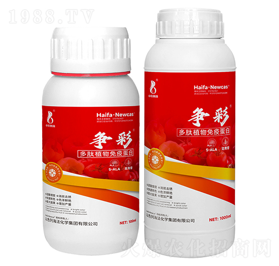 ����ֲ�����ߵ���-����-���r(n��ng)�W��