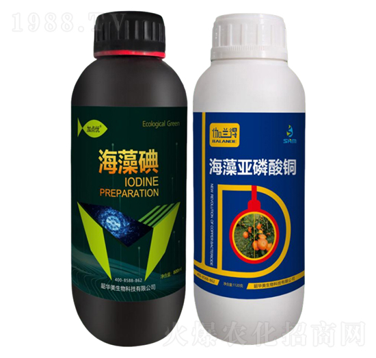 ���ٝ����ײ�1̖(h��o)-���A��