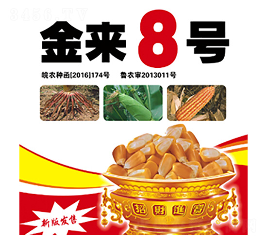 ����(l��i)8̖(h��o)-���S�N�I(y��)