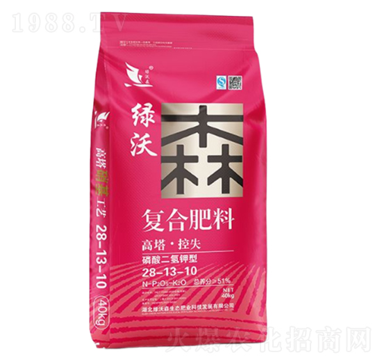 ���������͏�(f��)�Ϸ���28-13-10-�G��ɭ