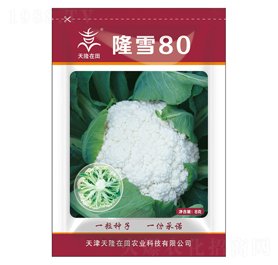 ¡ѩ80-��¡����-��¡�r�I(y��)