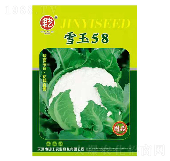 ���˷N��-ѩ��58-���S�r(n��ng)�I(y��)