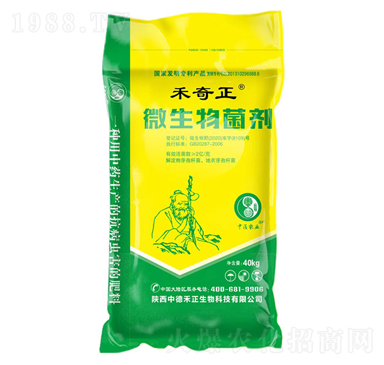 ΢�������-������-�еº���