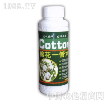 ��ɽ����-�޻�һ����