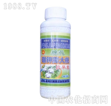 ��ɽ����-�޻�������