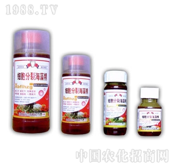 ��ɽ����-�������Ѻ���