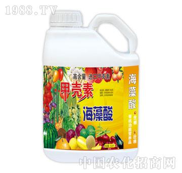 ����-�ך��غ�����