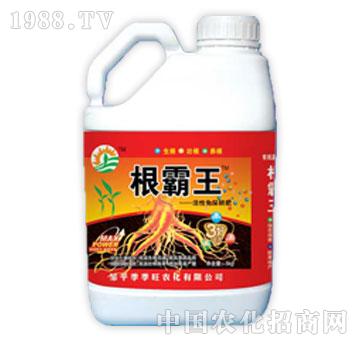 ������-������