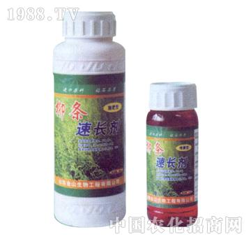 ��ɽ����-���l���L����