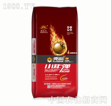 ��������Сը��