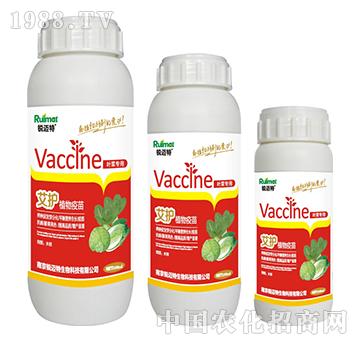 ���oֲ�������~�ˌ���-�J�~��