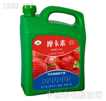 草莓抑菌精華液-摩卡素-強芯國際