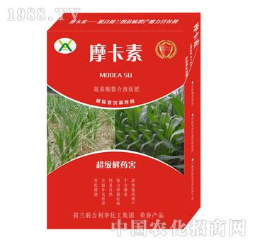 ������ˎ������������Һ�ķ�-Ħ����-��о���H