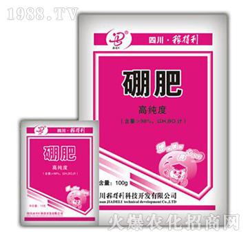 ���-�ڵ���